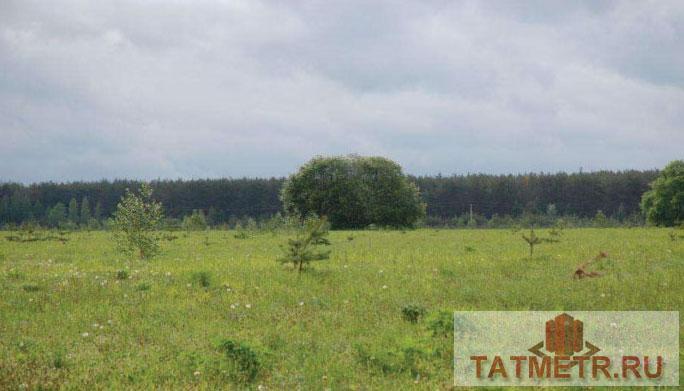 Продажа / Земельные участки, Орел, Орловская улица, 1 270 000 Орел д, Орловская улица , продается участок, 10 соток, нет, Продаю ровный правильной формы земельный участок... - 1