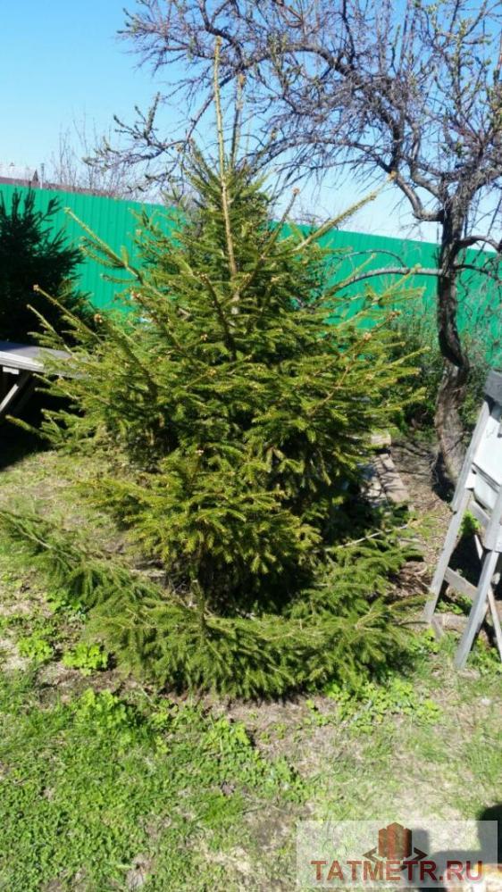 Продажа / Дома и коттеджи, Тетеево, Залесная улица, 2 799 000 Тетеево, Залесная улица , продается дом, 28 соток, общ. пл. дома 116 кв.м., хороший ремонт, Продаю 2-х этажный жилой... - 21