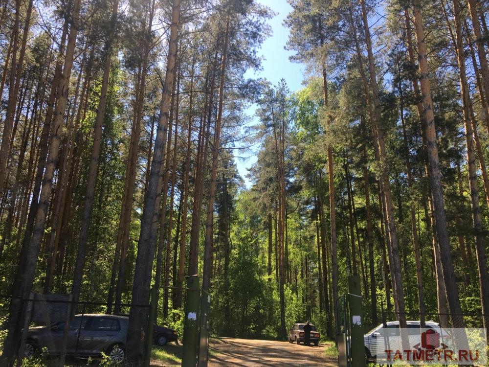 Продажа / Дачи, СДТ Аланлык, 1 100 000 Аланлык, продается дача, 4 соток, общ. пл. дома 120 кв.м., санузел совмещенный, Продается 2-х этажный бревенчатый... - 12
