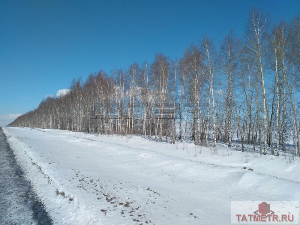 Продажа / Земельные участки, Казань, тракт. Мамадышский, 250 000 Продается земельный участок 250 соток в Пестречинском районе, между Шали и Новоникольское. Ровный участок у дороги,...