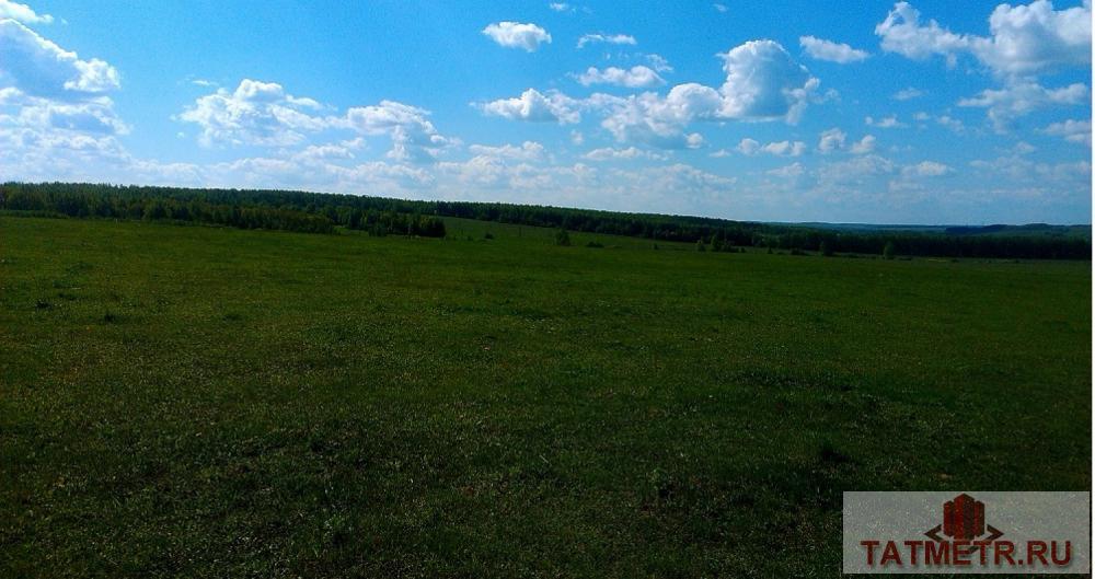 Продажа / Земельный участок, Большие Кургузи, 1 440 000 Продам участок под сельскохозяйственное производство рядом с селом Большие Кургузи (газ в населенном пункте,...