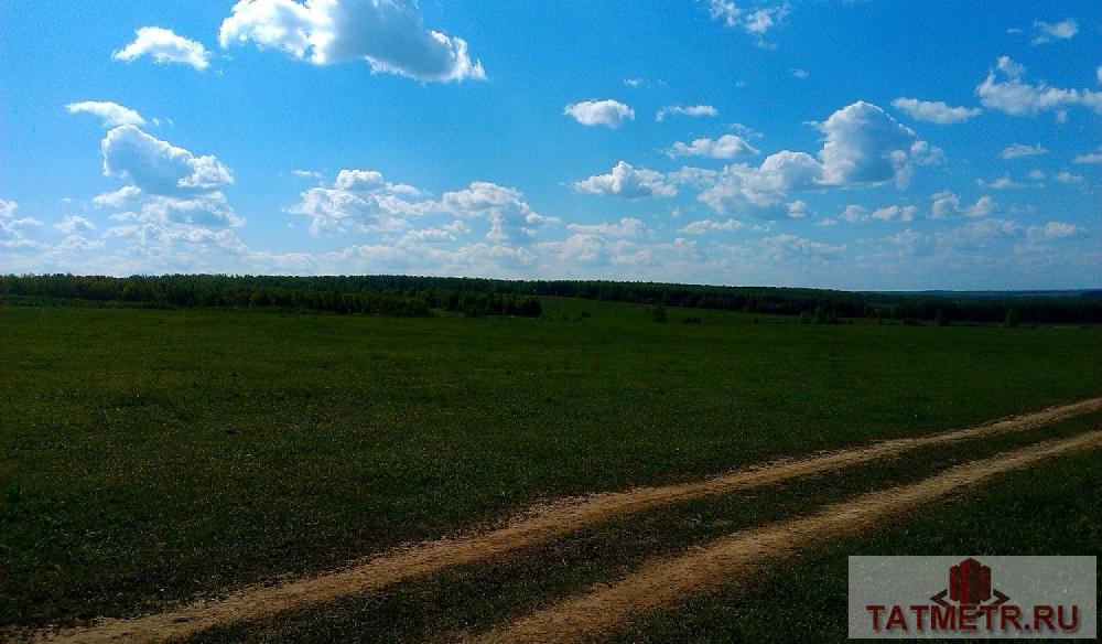 Продажа / Земельный участок, Большие Кургузи, 1 440 000 Продам участок под сельскохозяйственное производство рядом с селом Большие Кургузи (газ в населенном пункте,... - 2