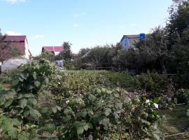 Продается:
Отличная дача в шикарном месте на второй береговой линии...