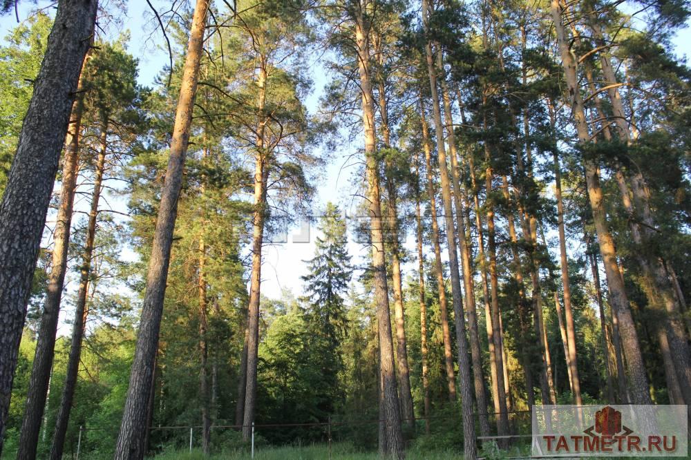 Продажа / Земельные участки, Казань, Мамадышский тракт, 500 000 Продается участок в живописном месте в Пестречинском районе д.Кызыл Яшьлэр. Ровный и прямоугольный участок расположен... - 2