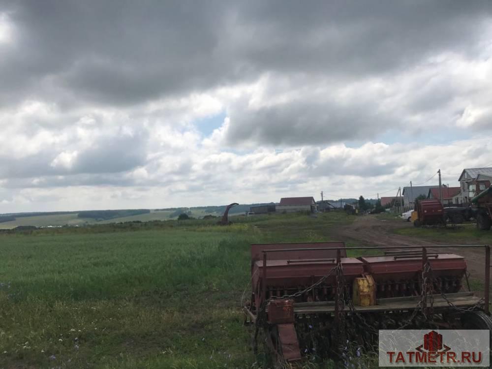 Продажа / Земельный участок, Большие Кургузи, 1 950 000 Продаем участок 12Га в Зеленодольском муниципальном районе, Большекургузинском сельском поселении. + газ на... - 2