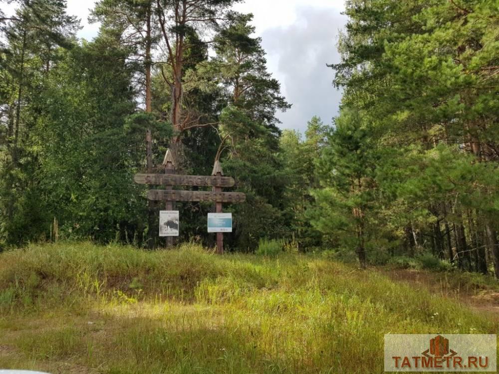Продажа / Дома и коттеджи, Алексеевское, 3 800 000 Продам замечательный дом в с. Алексеевское в 70 км от Казани в направлении Марий-Эл в очень живописном месте. Общая... - 27