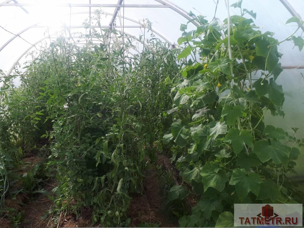 Продажа / Дома и коттеджи, Пановка, улица Чернышевского, 5 150 000 Продаю замечательный дом для большой и дружной семьи, в живописном месте с.Пановка. На участке 17 соток! Дом... - 10