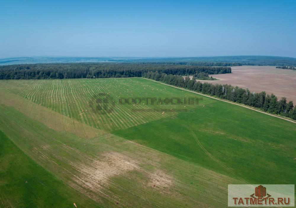 Продажа / Земельные участки, Лесные Моркваши, 280 000 Выбери свой лучший земельный участок!!! В 30-ти минутах от города Казани на продажу выставлены земельные участки под...