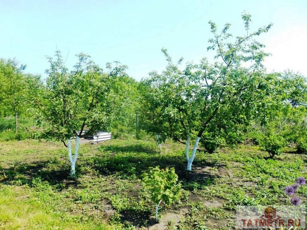 Продажа / Жилая / Дом с участком, с. Большое Ходяшево, Центральная улица, 999 000 ПРОДАЕТСЯ замечательный, крепкий дом в очень красивом, живописном и экологически чистом районе с. Большое Ходяшево.... - 11