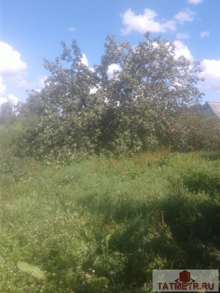 Продажа / Жилая / Дом с участком, д. Карай, Ленина улица, 900 000 Продается бревенчатый дом в д. Карай. Участок прямоугольной формы с плодово-ягодными насаждениями (яблони, слива,... - 5