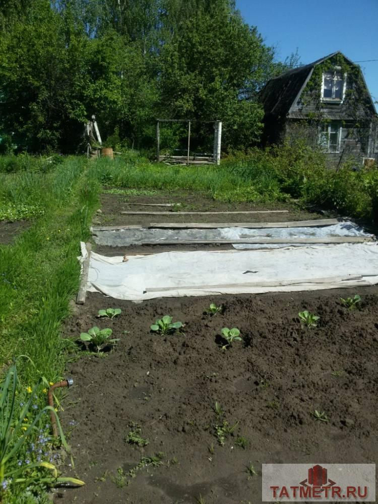 Продажа / Дачи, д. Красный Яр, с/о Атмосфера, 240 000 Продам дачу в экологически чистом районе д. Красный Яр. Домик двухэтажный с балконом. В домике имеется две комнаты,... - 4