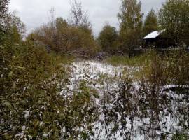 Отличный дачный участок в пгт. Васильево. Участок ровный,...