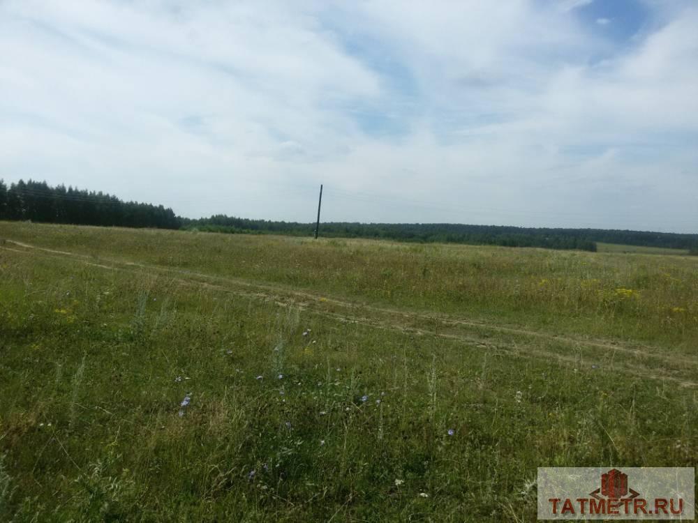 Продажа / Земельные участки, с. Большие Кургузи, улица, 1 100 000 Продается отличный земельный участок в с. Большие Кургузи Зеленодольского района (по Раифской трассе). Участок...