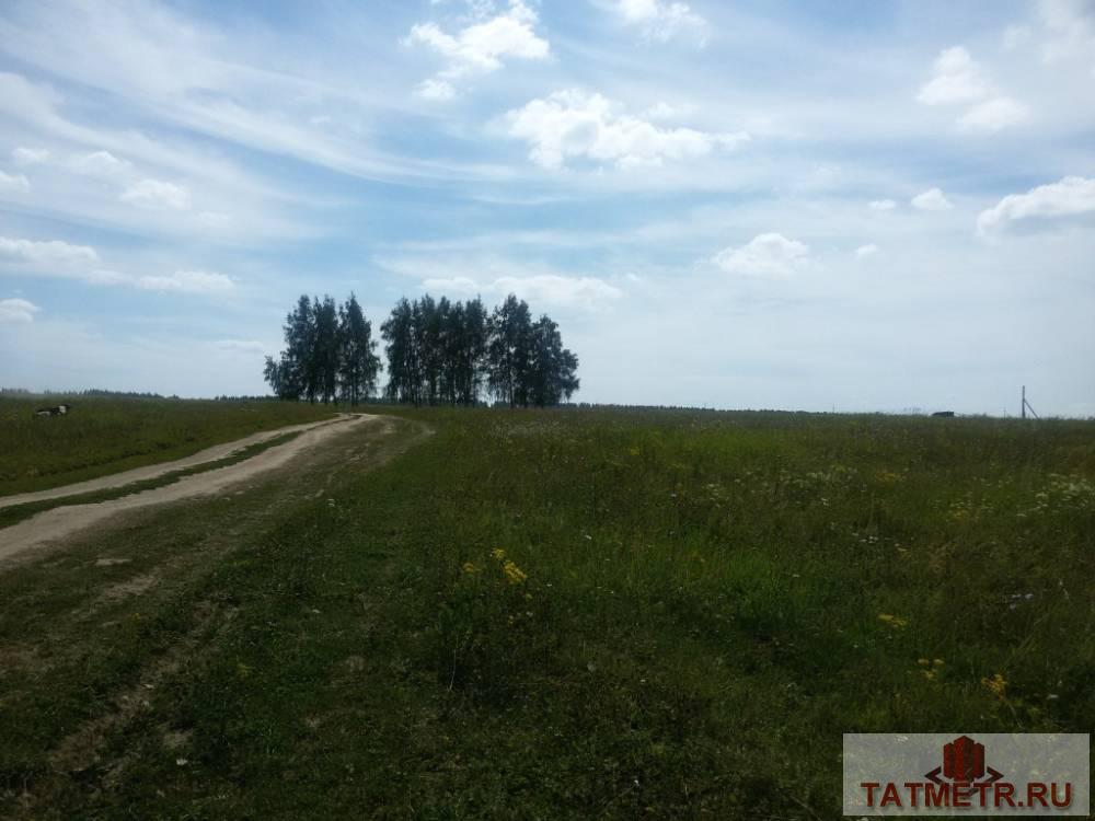 Продажа / Земельные участки, с. Большие Кургузи, улица, 1 100 000 Продается отличный земельный участок в с. Большие Кургузи Зеленодольского района (по Раифской трассе). Участок... - 1