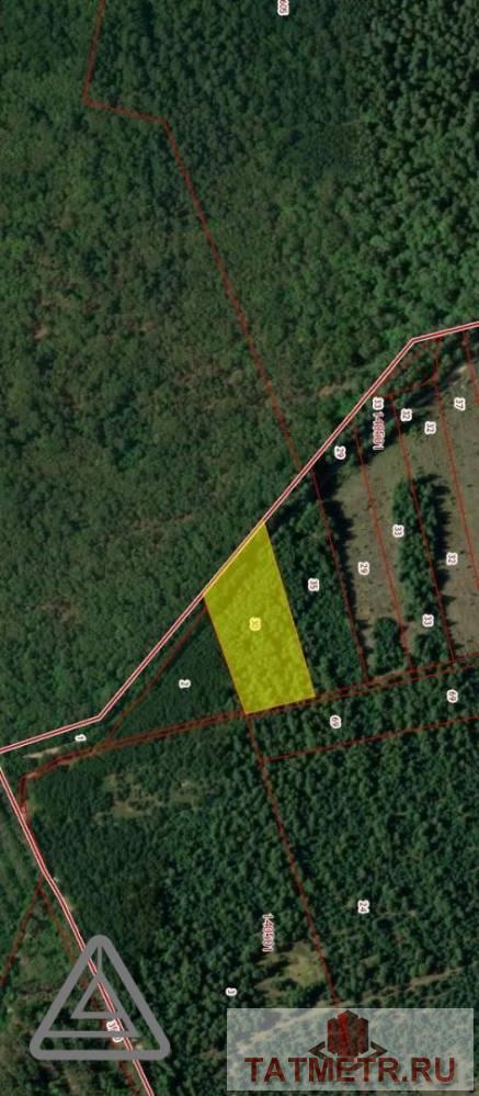 Продажа / Коммерческая / Land, Орел, 1 600 000 Продается земельный участок общей площадью 77,3 сотки, находящийся по адресу: Республика Татарстан, Лаишевский...