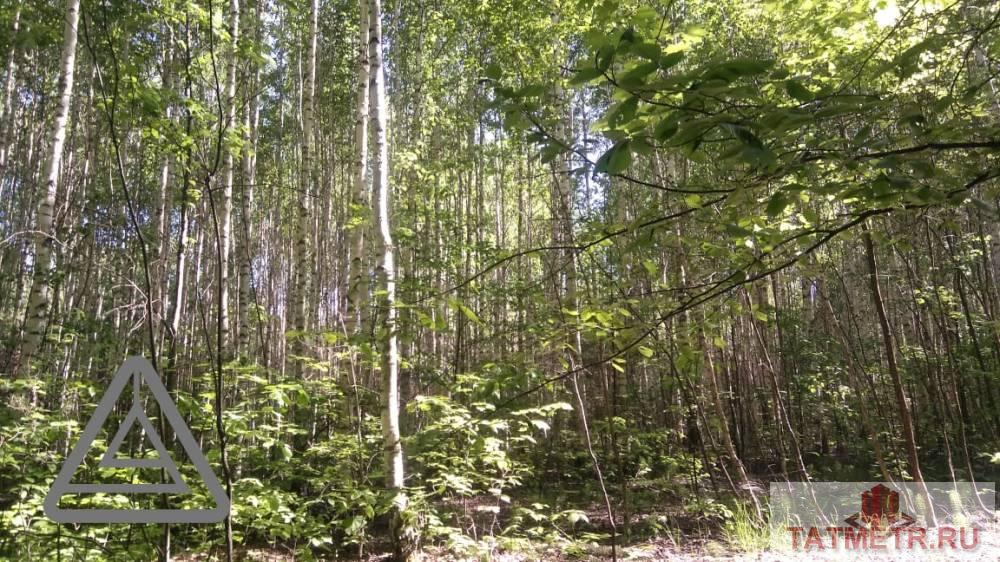 Продажа / Коммерческая / Land, Орел, 1 600 000 Продается земельный участок общей площадью 77,3 сотки, находящийся по адресу: Республика Татарстан, Лаишевский... - 1