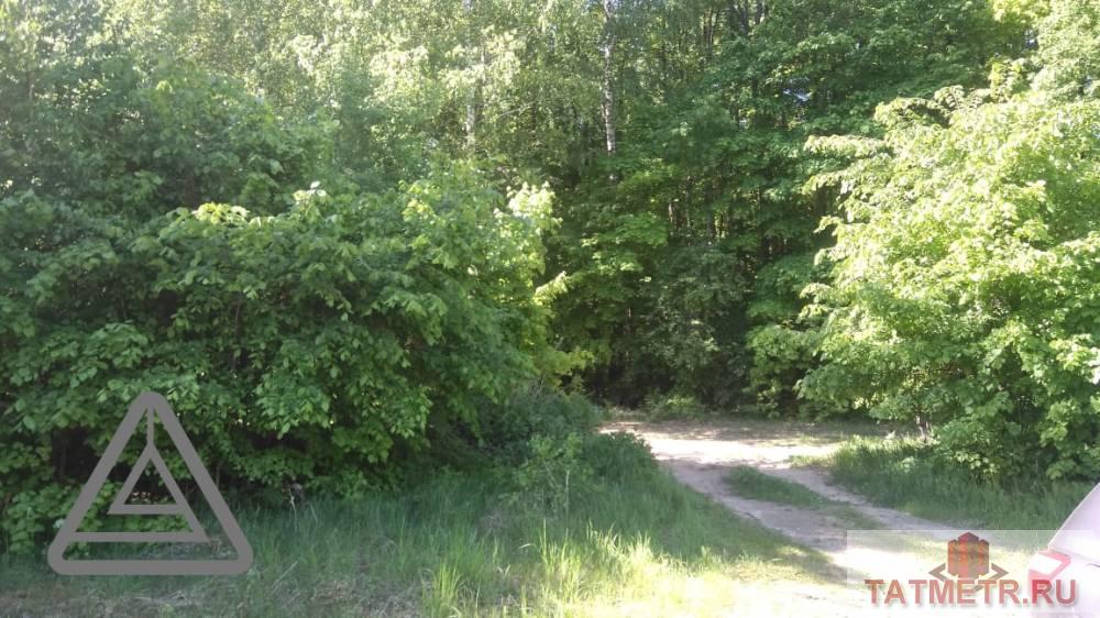Продажа / Коммерческая / Land, Орел, 1 600 000 Продается земельный участок общей площадью 77,3 сотки, находящийся по адресу: Республика Татарстан, Лаишевский... - 2