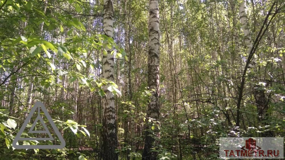 Продажа / Коммерческая / Land, Орел, 1 600 000 Продается земельный участок общей площадью 77,3 сотки, находящийся по адресу: Республика Татарстан, Лаишевский... - 3