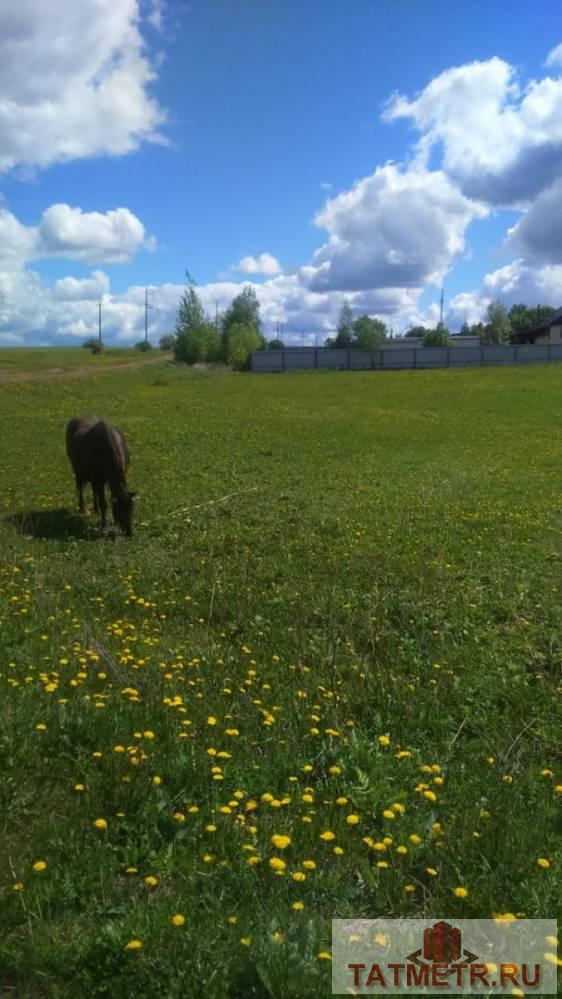 Продажа / Земельные участки, Пимери, Советская улица, 599 000 Пимери д, Советская улица , продается участок, 30 соток, Продаю ровный правильной формы земельный участок общей... - 3