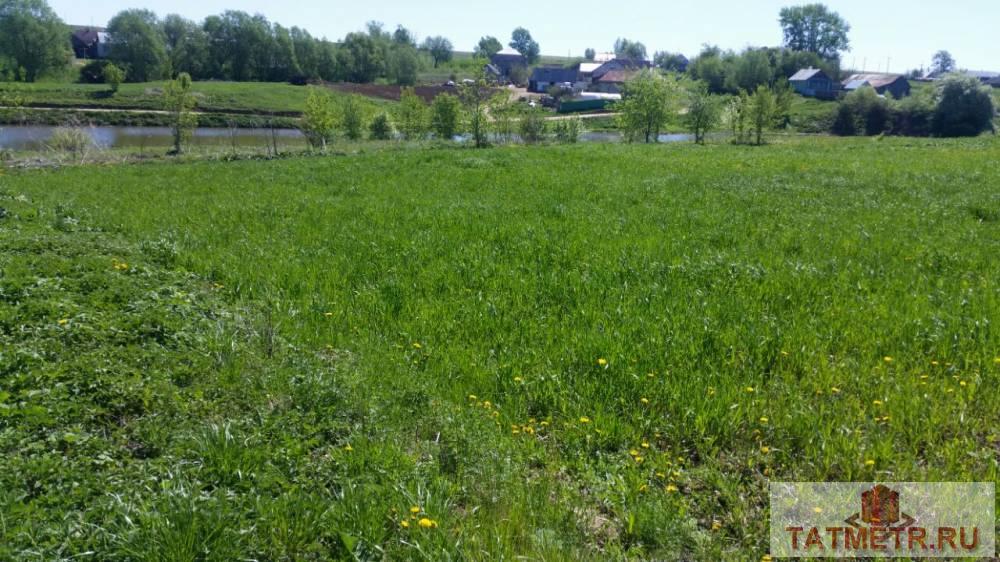 Продажа / Земельные участки, Большие берези, 220 000 Большие Берези с, продается участок, 8.3 соток, Продаю ровный правильной формы земельный участок 8,3 сот. в с.Большие... - 4