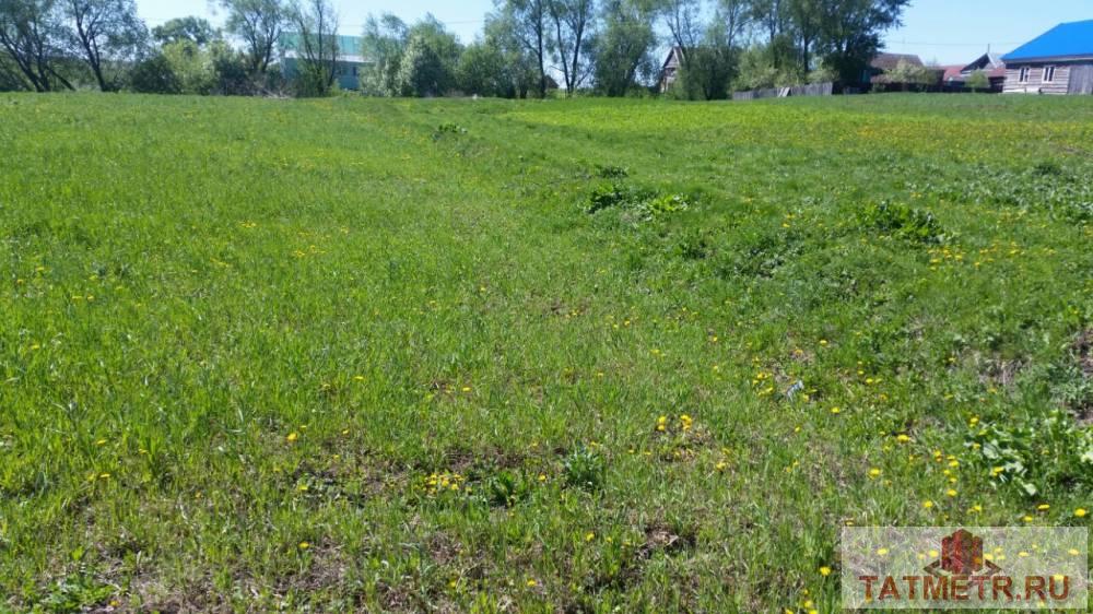 Продажа / Земельные участки, Большие берези, 220 000 Большие Берези с, продается участок, 8.3 соток, Продаю ровный правильной формы земельный участок 8,3 сот. в с.Большие... - 7