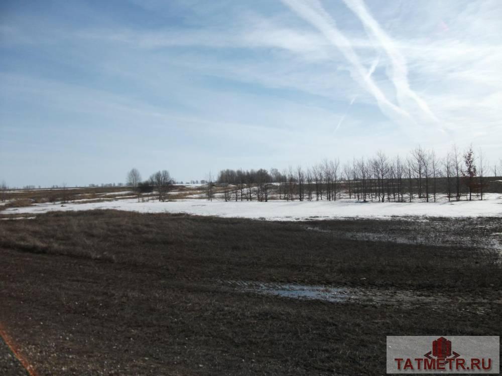 Продажа / Земельные участки, Петрово, 150 000 Петрово д, продается участок, 30 соток, Продается садовый участок площадью 30 соток в Пестречинском районе... - 4