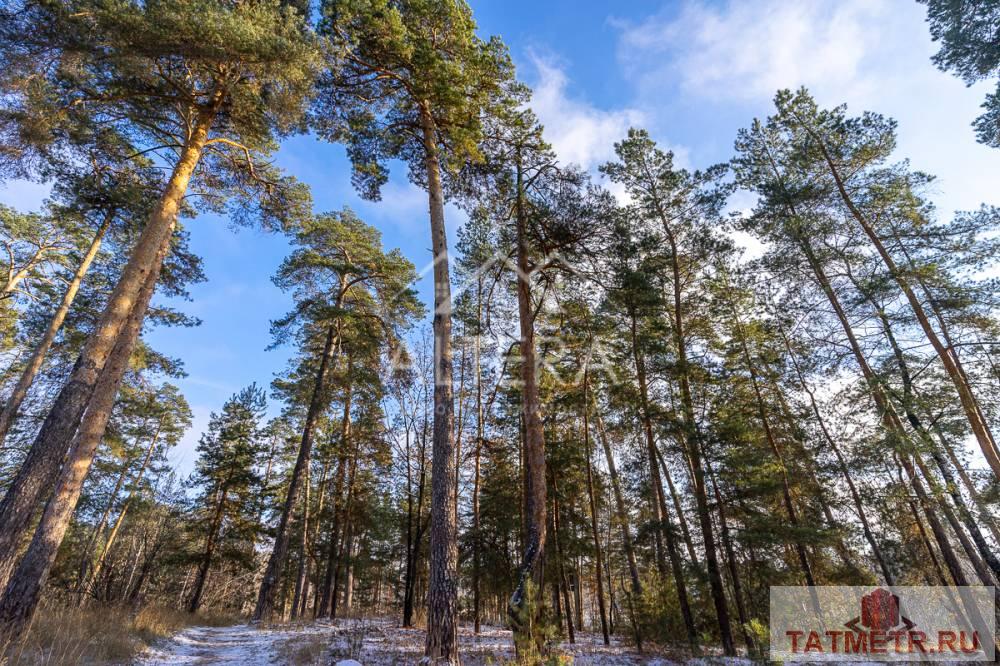 Продажа / Квартиры, Васильево, территория Санатория, 1 699 000 Предлагаем Вашему вниманию просторную двух комнатную квартиру расположенную в экологически чистом Зеленодольском... - 16