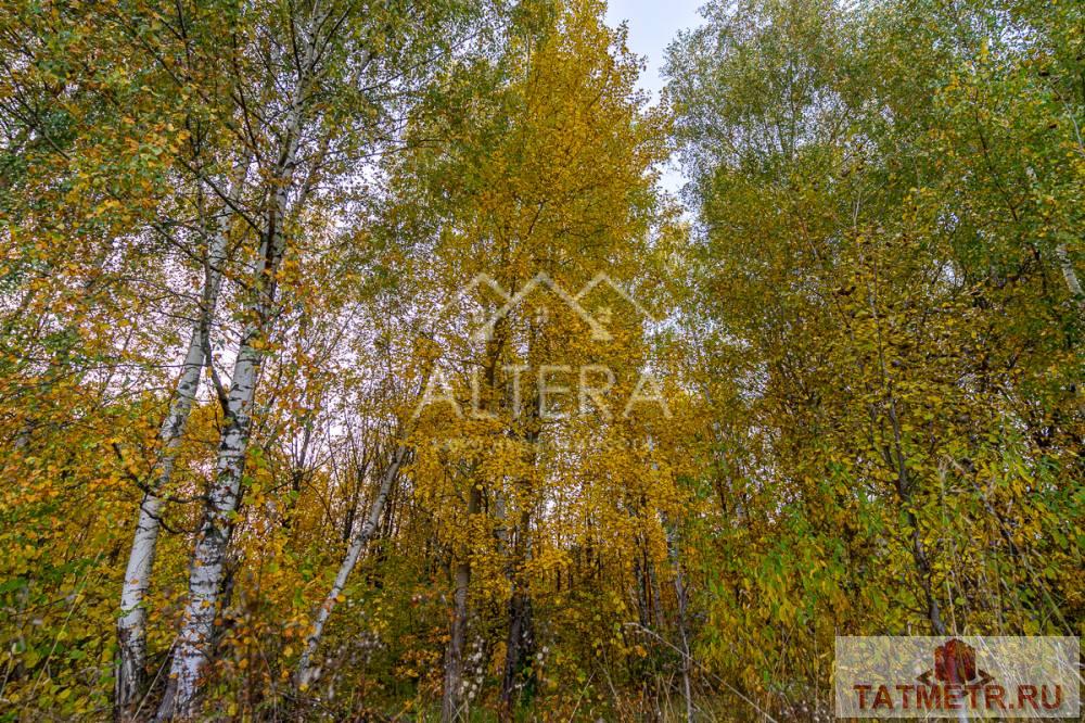 Продажа / Земельные участки, Большие Кургузи, 450 000 + Пронумерованные фото объекта и текст для объявления... РЕСПУБЛИКА ТАТАРСТАН Зеленодольский район село Большие... - 5