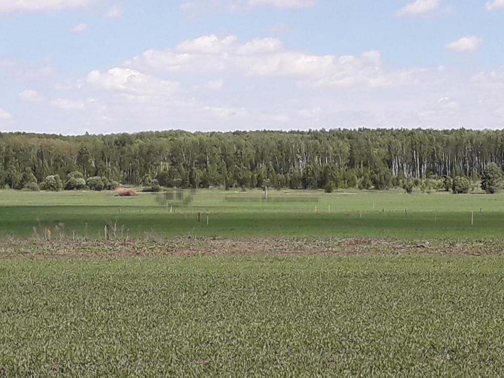 Продажа / Коммерческая / Land, Державино, 1 000 000 Вашему вниманию предлагается участок 6 Га (600 соток), расположенный в Лаишевском районе Республики Татарстан, село...