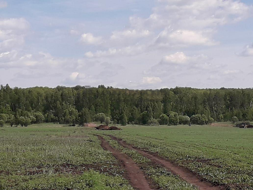 Продажа / Коммерческая / Land, Державино, 1 000 000 Вашему вниманию предлагается участок 6 Га (600 соток), расположенный в Лаишевском районе Республики Татарстан, село... - 1