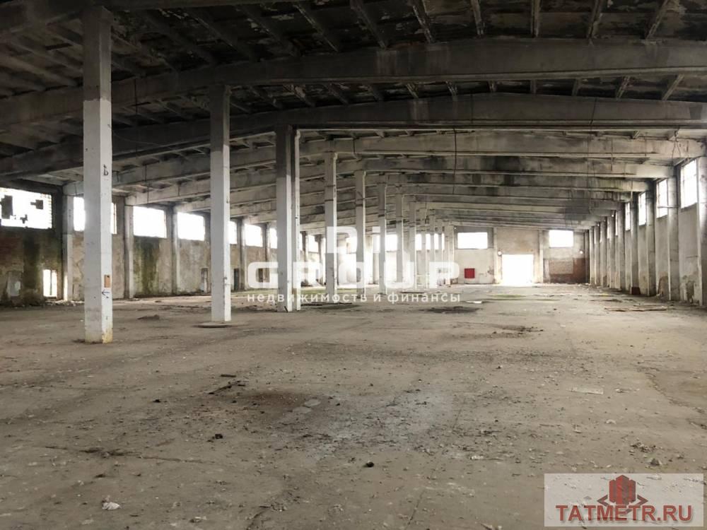 Аренда / Коммерческая / Warehouse, Казань, Горьковское шоссе, 324 000 Сдается складское холодное помещение 3240 кв.м в г.Васильево Основные характеристики: — Пол ровный бетон; — Высота... - 1