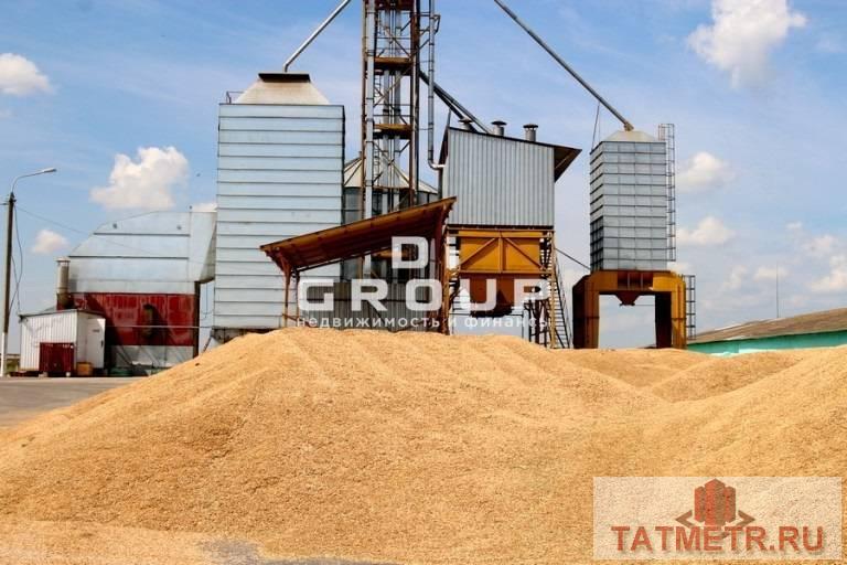 Продажа / Коммерческая / Land, Максабаш, 85 000 000 Продается действующий бизнес — сельскохозяйственное предприятие Готовый бизнес в 70 км от Казани – КРС,...