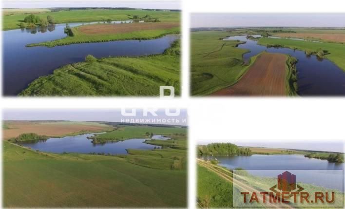 Продажа / Коммерческая / Land, Шапши, 13 000 000 Продаются земли для сельскохозяйственного производства. Общая площадь: 185 га. Подробная информация и все документы... - 3