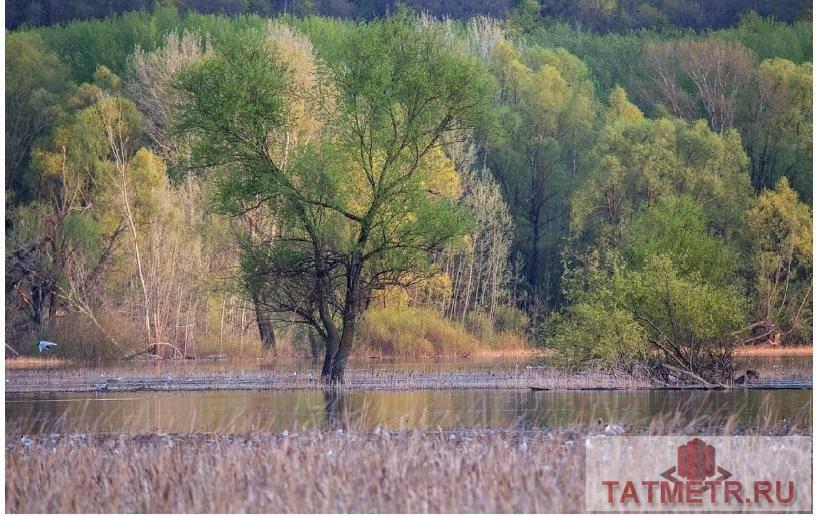 Продажа / Земельные участки, Казань, Татарстан (Кадышево), 2 499 994 Продаю участок ИЖС в живописном месте: Жилой массив Кадышево Авиастроительного района г. Казани. Участок правильной... - 3