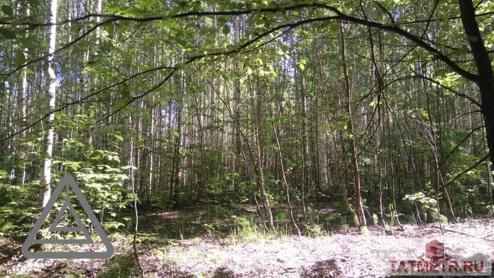 Продажа / Коммерческая / Land, Орел, 3 200 000 Продается земельный участок общей площадью 148,7 сотки, находящийся по адресу Республика Татарстан, Лаишевский... - 2