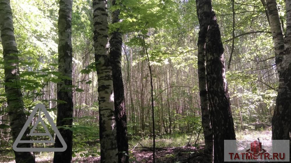 Продажа / Коммерческая / Land, Орел, 3 200 000 Продается земельный участок общей площадью 148,7 сотки, находящийся по адресу Республика Татарстан, Лаишевский... - 3