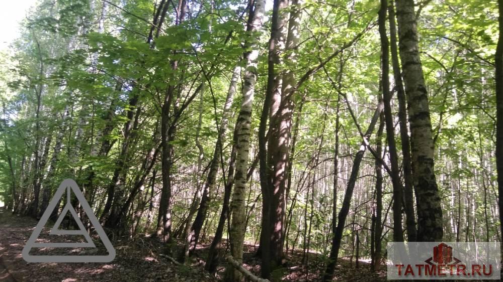 Продажа / Коммерческая / Land, Орел, 3 200 000 Продается земельный участок общей площадью 148,7 сотки, находящийся по адресу Республика Татарстан, Лаишевский... - 5