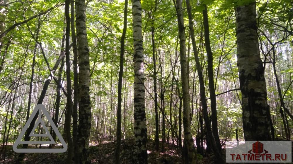 Продажа / Коммерческая / Land, Орел, 3 200 000 Продается земельный участок общей площадью 148,7 сотки, находящийся по адресу Республика Татарстан, Лаишевский... - 7