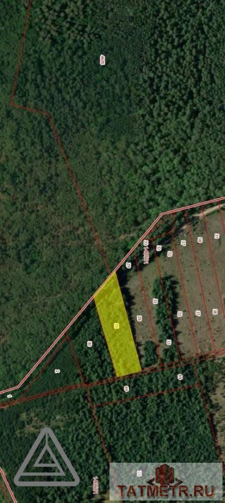 Продажа / Коммерческая / Land, Орел, 3 200 000 Продается земельный участок общей площадью 148,7 сотки, находящийся по адресу Республика Татарстан, Лаишевский... - 8