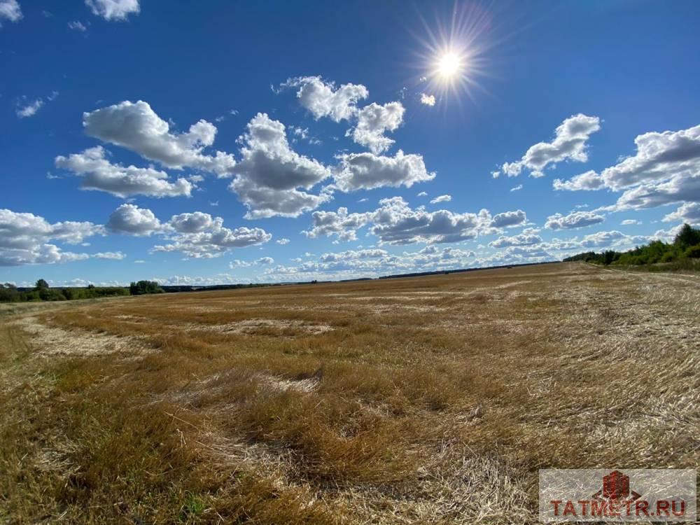Продажа / Commercial / Land, село Емельяново, 2 199 000 Продам: участок площадью 450 соток. Расположение: село Емельяново. Коммуникации: электроснабжение, газ, канализация,...