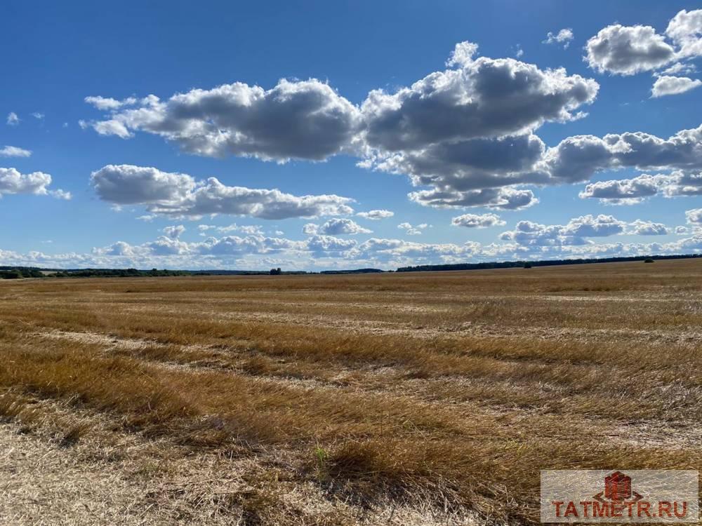 Продажа / Commercial / Land, село Емельяново, 2 199 000 Продам: участок площадью 450 соток. Расположение: село Емельяново. Коммуникации: электроснабжение, газ, канализация,... - 1