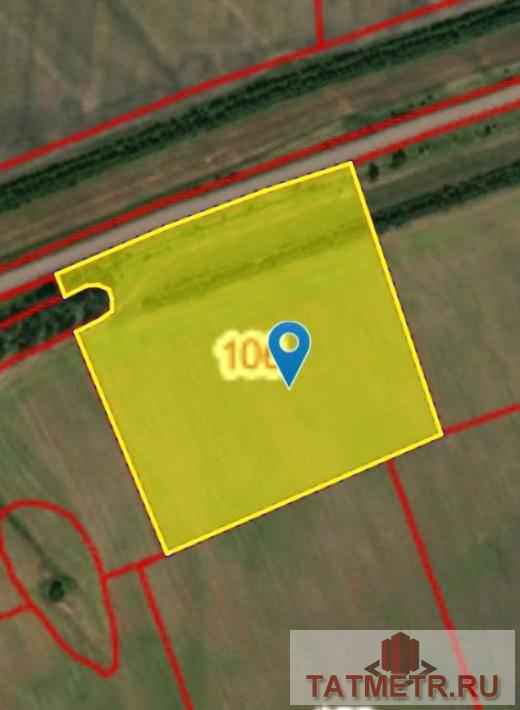 Продажа / Commercial / Land, село Емельяново, 2 199 000 Продам: участок площадью 450 соток. Расположение: село Емельяново. Коммуникации: электроснабжение, газ, канализация,... - 4