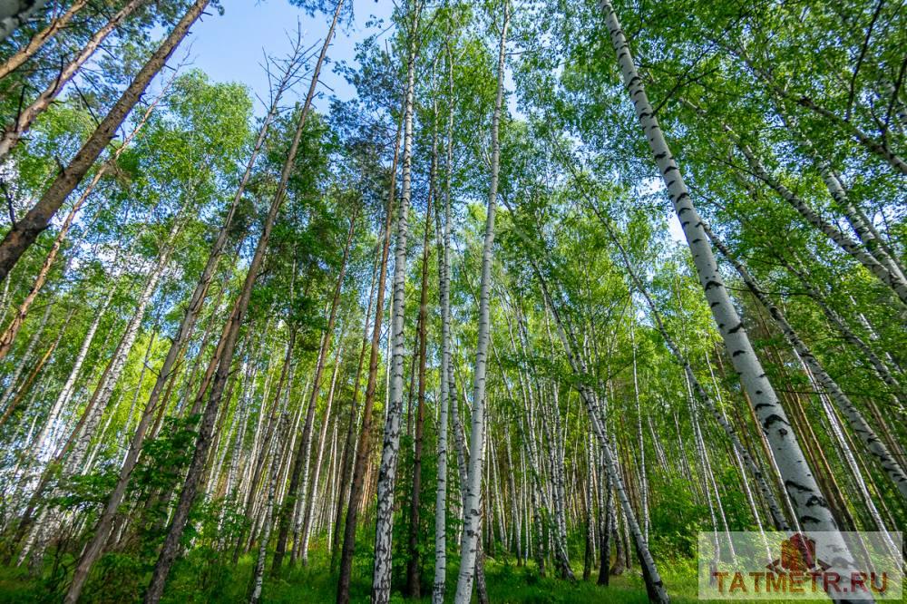 Продажа / Дачи, Садоводческое некоммерческое товарищество якорь, 1 099 000 ПРОДАЮ ДАЧУ С ДОМОМ И БАНЕЙ в экологически чистом районе. Вокруг — смешанные и хвойные леса, рядом озеро Архиерейское... - 15