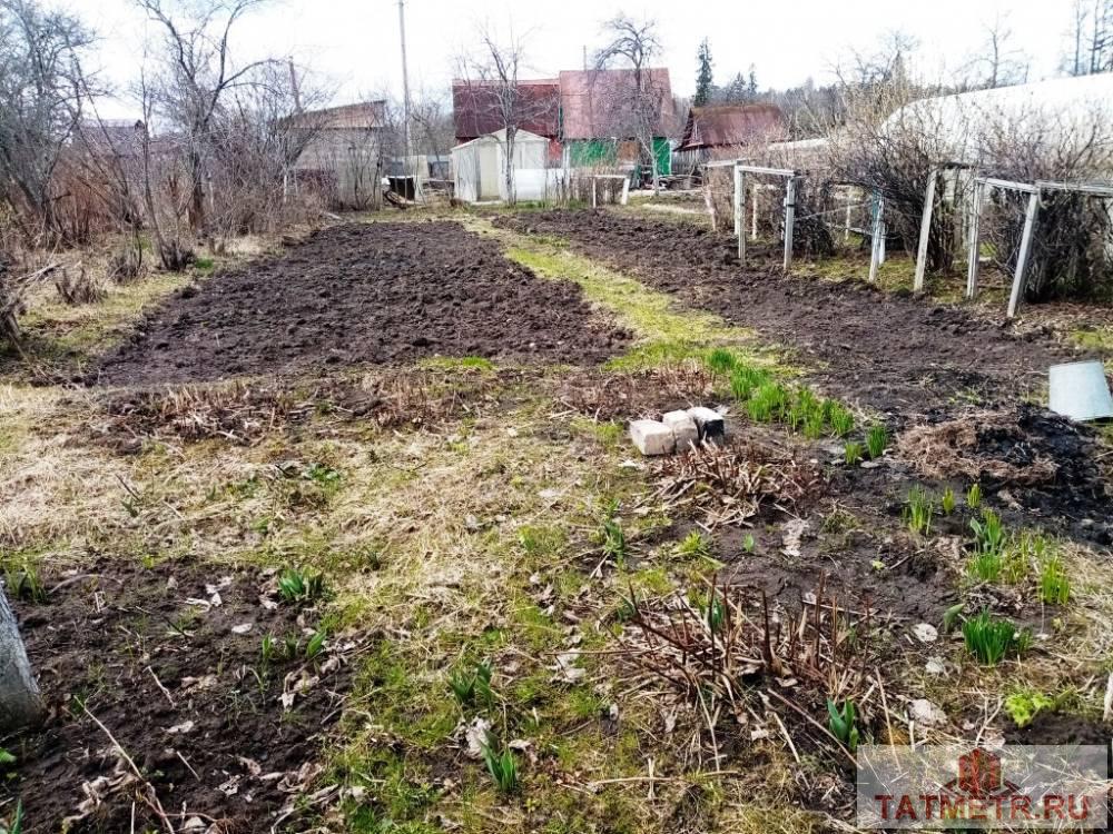 Продажа / Дачи, Зеленодольск, с/о Гари дальние, 450 000 Продается дача в черте г.Зеленодольск с/о Гари Дальние. Участок ровный, прямоугольной формы, ухоженный, очень много... - 5