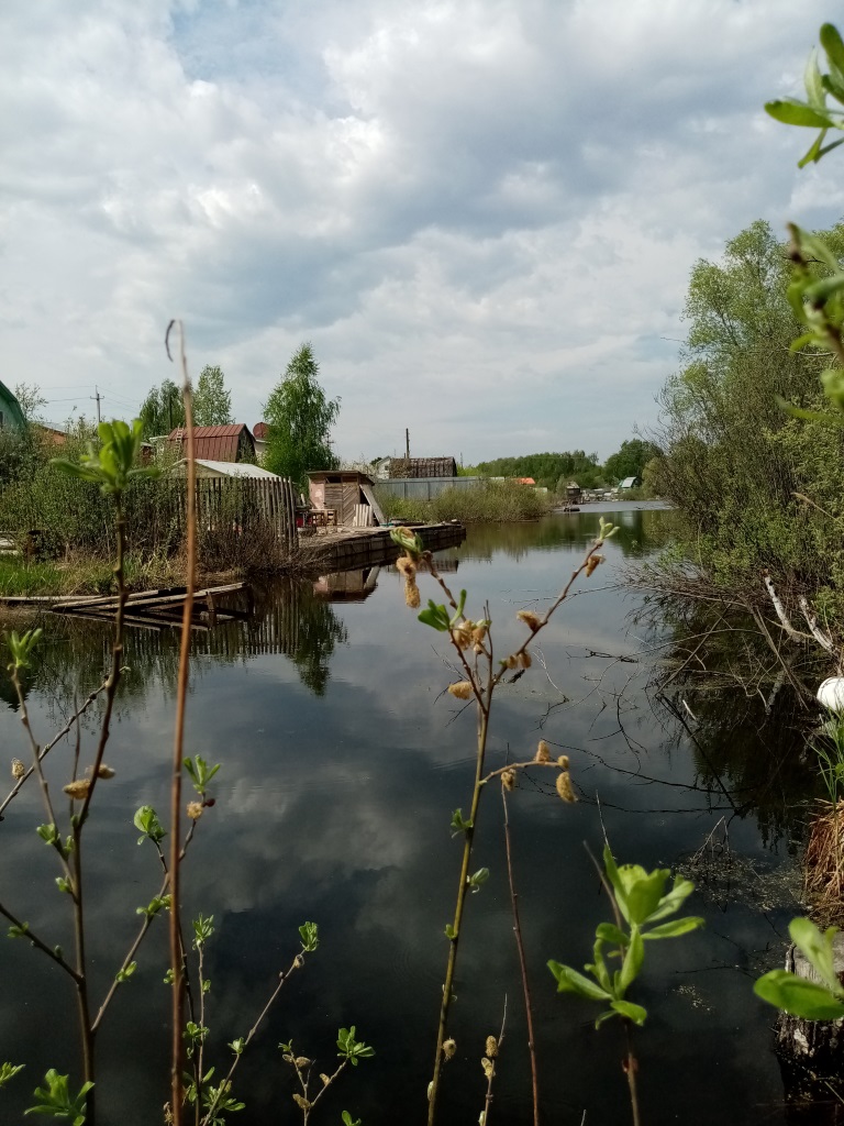 Продажа / Земельные участки, пгт. Васильево, с/о Здоровье, 120 000 Продается дачный участок в пгт. Васильево. Участок огорожен профнастилом, расположен на берегу небольшого озера.... - 2