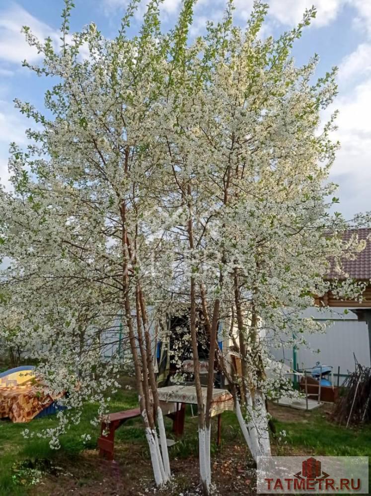Продажа / Дома и коттеджи, Тетеево, Залесная улица, 1 799 000 Хотите жить в собственном доме в тихом экологически чистом месте и рядом с остановкой городского автобуса? Тогда наш... - 3