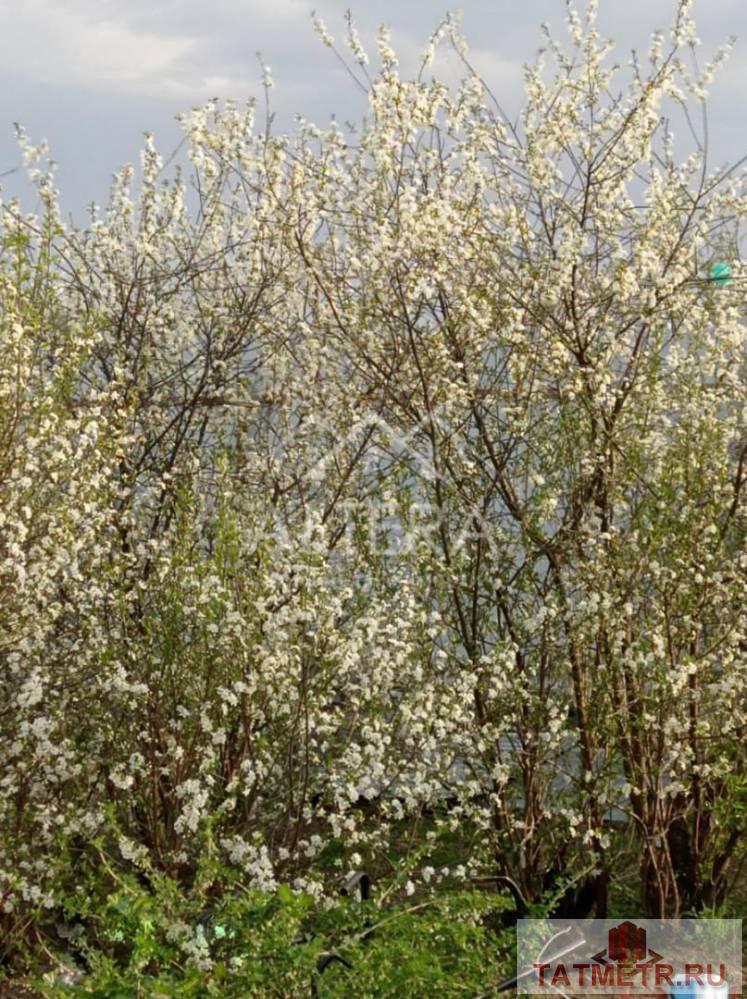 Продажа / Дома и коттеджи, Тетеево, Залесная улица, 1 799 000 Хотите жить в собственном доме в тихом экологически чистом месте и рядом с остановкой городского автобуса? Тогда наш... - 8
