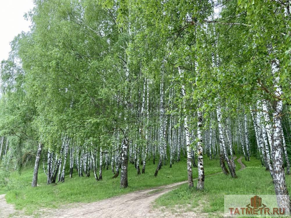 Продажа / Дачи, Казань, садоводческое некоммерческое товарищество Белянкино, 850 000 Предлагаем Вам приобрести замечательную дачу, расположенную на участке 10 соток! Дом крепкий, деревянный в хорошем... - 8