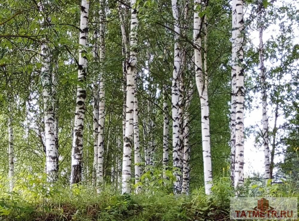 Продажа / Дачи, г. Казань, с/о Бодрость, 960 000 Продается замечательная зимняя дача на капитальном фундаменте в экологически чистом районе г. Казани. Дача построена... - 18
