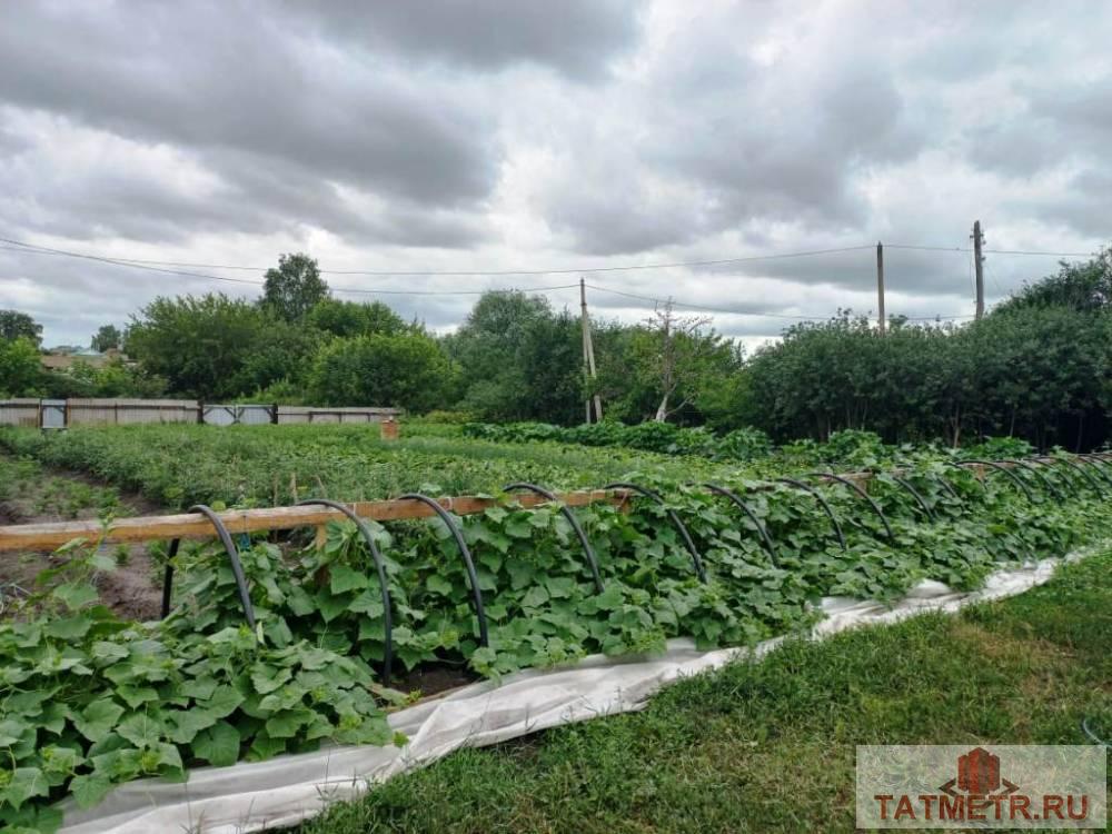 Продажа / Жилая / Дом с участком, с. Деушево, Просвещения улица, 1 250 000 Продается благоустроенный дом в Апастовском районе. Дом с ремонтом заезжай и живи: пластиковые окна, на полу... - 13
